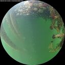 ./images/calvert/underwater/20260528/underwater20260528_211001M.jpg