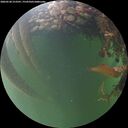 ./images/calvert/underwater/20260528/underwater20260528_213501M.jpg