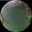 ./images/calvert/underwater/20260528/underwater20260528_214001M.jpg