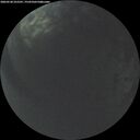./images/calvert/underwater/20260528/underwater20260528_222501M.jpg