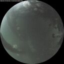 ./images/calvert/underwater/20260529/underwater20260529_045501M.jpg