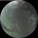 ./images/calvert/underwater/20260529/underwater20260529_050501M.jpg