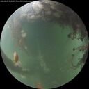 ./images/calvert/underwater/20260529/underwater20260529_052001M.jpg