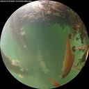./images/calvert/underwater/20260529/underwater20260529_054001M.jpg