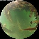./images/calvert/underwater/20260529/underwater20260529_065501M.jpg