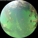 ./images/calvert/underwater/20260529/underwater20260529_072001M.jpg