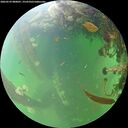 ./images/calvert/underwater/20260529/underwater20260529_080001M.jpg