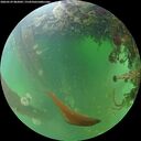./images/calvert/underwater/20260529/underwater20260529_082002M.jpg