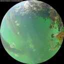 ./images/calvert/underwater/20260529/underwater20260529_082501M.jpg