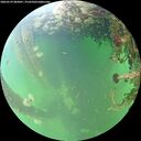 ./images/calvert/underwater/20260529/underwater20260529_083001M.jpg