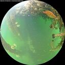 ./images/calvert/underwater/20260529/underwater20260529_083501M.jpg