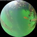 ./images/calvert/underwater/20260529/underwater20260529_095501M.jpg