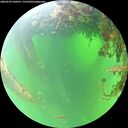 ./images/calvert/underwater/20260529/underwater20260529_100501M.jpg