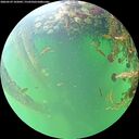 ./images/calvert/underwater/20260529/underwater20260529_102001M.jpg
