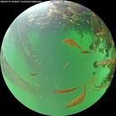 ./images/calvert/underwater/20260529/underwater20260529_103002M.jpg