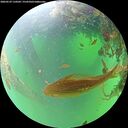 ./images/calvert/underwater/20260529/underwater20260529_110501M.jpg