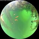 ./images/calvert/underwater/20260529/underwater20260529_112002M.jpg
