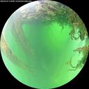 ./images/calvert/underwater/20260529/underwater20260529_113001M.jpg