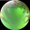 ./images/calvert/underwater/20260529/underwater20260529_114001M.jpg