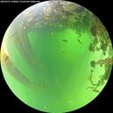 ./images/calvert/underwater/20260529/underwater20260529_120002M.jpg