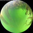 ./images/calvert/underwater/20260529/underwater20260529_121001M.jpg