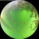 ./images/calvert/underwater/20260529/underwater20260529_121501M.jpg