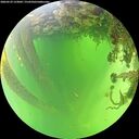 ./images/calvert/underwater/20260529/underwater20260529_123002M.jpg