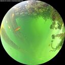 ./images/calvert/underwater/20260529/underwater20260529_123501M.jpg