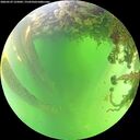 ./images/calvert/underwater/20260529/underwater20260529_125002M.jpg