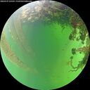 ./images/calvert/underwater/20260529/underwater20260529_125501M.jpg