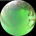 ./images/calvert/underwater/20260529/underwater20260529_130001M.jpg