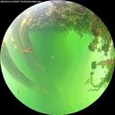 ./images/calvert/underwater/20260529/underwater20260529_132001M.jpg