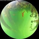 ./images/calvert/underwater/20260529/underwater20260529_133501M.jpg