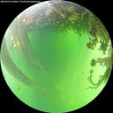 ./images/calvert/underwater/20260529/underwater20260529_134002M.jpg