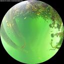 ./images/calvert/underwater/20260529/underwater20260529_134501M.jpg