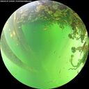 ./images/calvert/underwater/20260529/underwater20260529_135002M.jpg