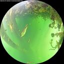 ./images/calvert/underwater/20260529/underwater20260529_140502M.jpg