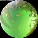 ./images/calvert/underwater/20260529/underwater20260529_141501M.jpg