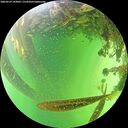 ./images/calvert/underwater/20260529/underwater20260529_142002M.jpg
