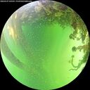 ./images/calvert/underwater/20260529/underwater20260529_142501M.jpg