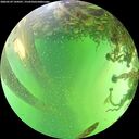./images/calvert/underwater/20260529/underwater20260529_144501M.jpg