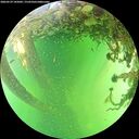 ./images/calvert/underwater/20260529/underwater20260529_145002M.jpg