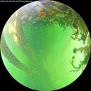 ./images/calvert/underwater/20260529/underwater20260529_145501M.jpg