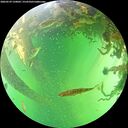 ./images/calvert/underwater/20260529/underwater20260529_150001M.jpg