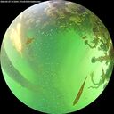 ./images/calvert/underwater/20260529/underwater20260529_151001M.jpg