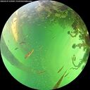 ./images/calvert/underwater/20260529/underwater20260529_152001M.jpg