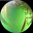 ./images/calvert/underwater/20260529/underwater20260529_152501M.jpg