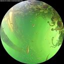 ./images/calvert/underwater/20260529/underwater20260529_153002M.jpg