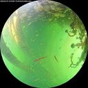 ./images/calvert/underwater/20260529/underwater20260529_153501M.jpg