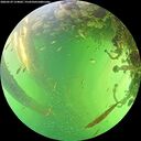 ./images/calvert/underwater/20260529/underwater20260529_154001M.jpg